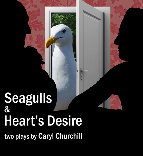 Seagulls Hearts Desire